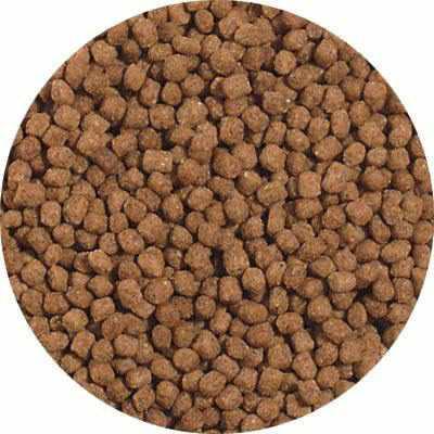 Blue Ridge Mini Pellet Growth Formula Koi & Goldfish Food - Play It Koi