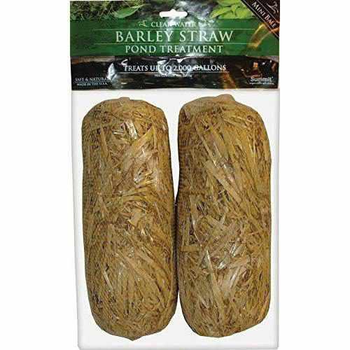 Clear-Water Barley Straw Bales - Play It Koi