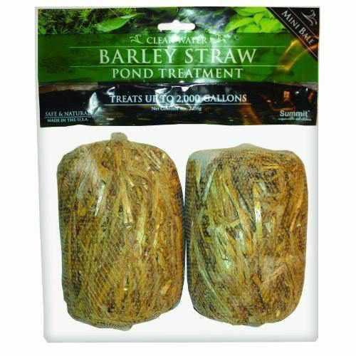 Clear-Water Barley Straw Bales - Play It Koi