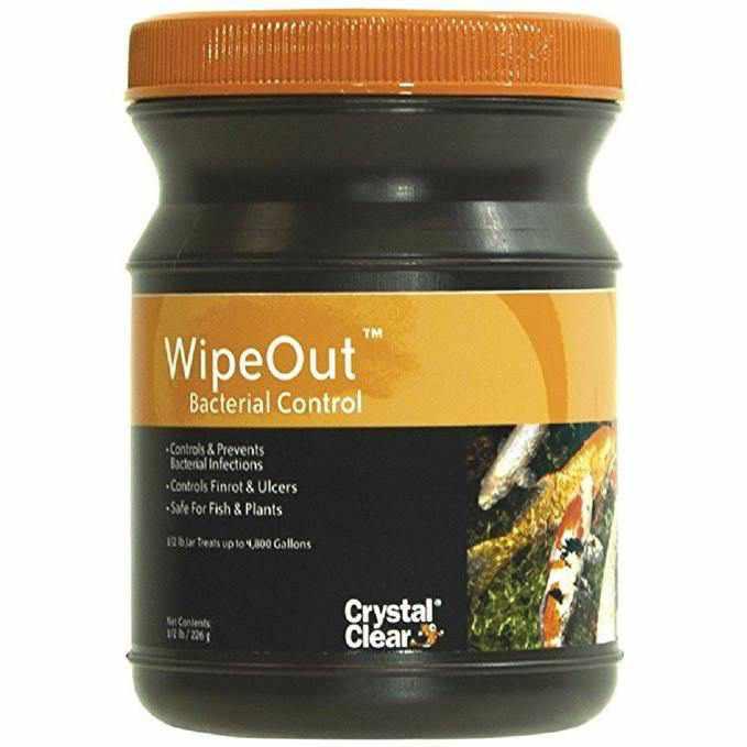 CrystalClear WipeOut - Bacterial Control 8 oz - Play It Koi