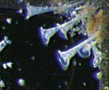 Evolution Aqua K+ Advanced Filter Media - Play It Koi