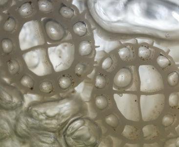 Evolution Aqua K+ Advanced Filter Media - Play It Koi