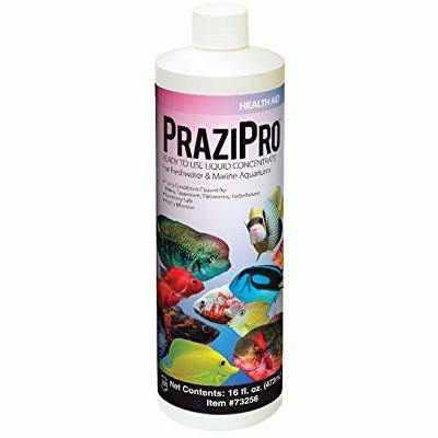 Hikari Prazipro 16oz