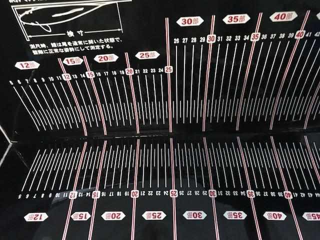 Matala Koi Measuring Board - 90 cm - Play It Koi