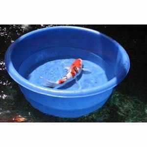 Matala Koi Viewing Bowls - Play It Koi