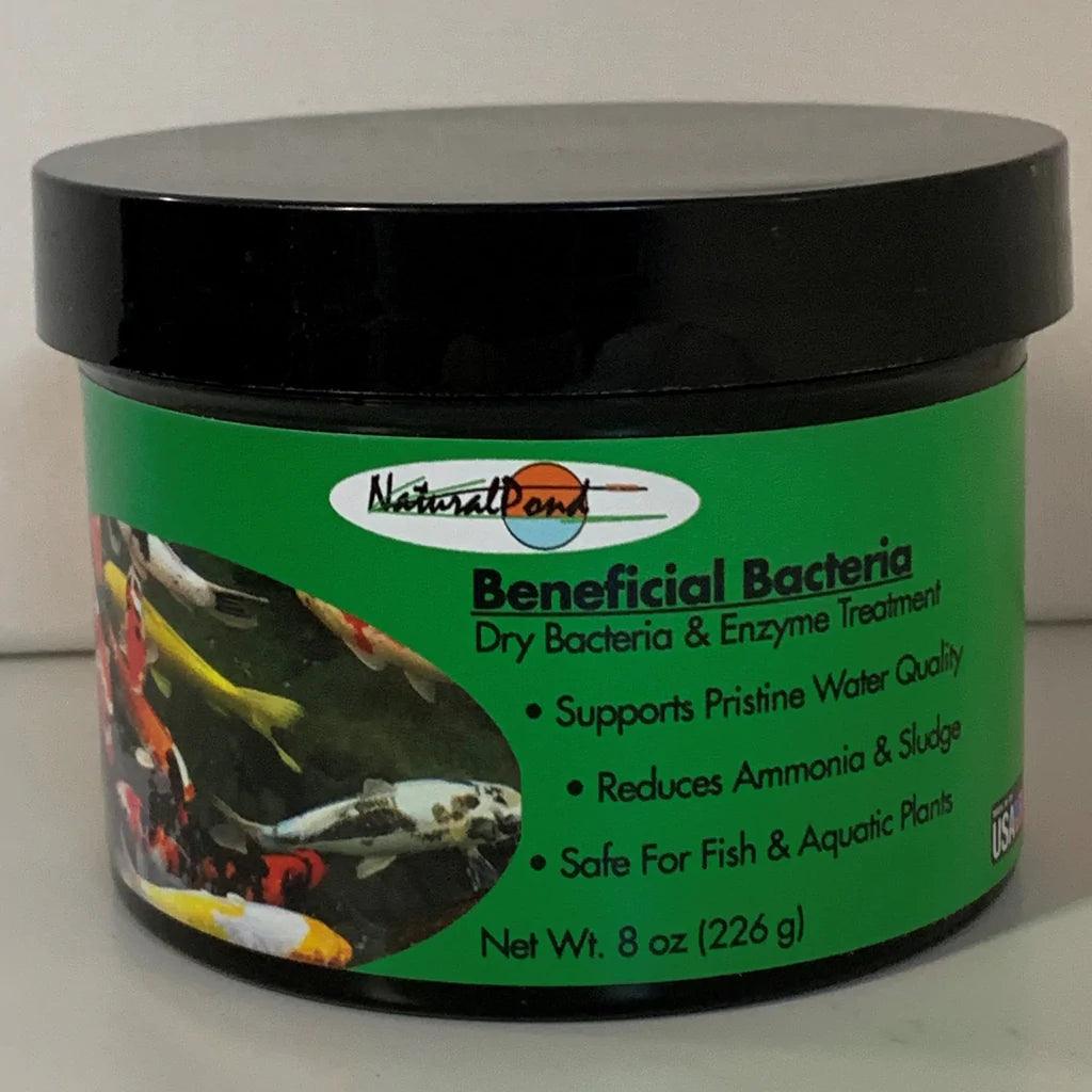 NaturalPond Beneficial Bacteria - Dry - Play It Koi