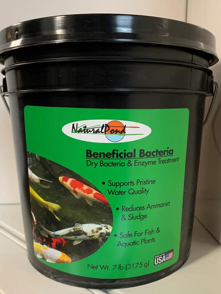 NaturalPond Beneficial Bacteria - Dry - Play It Koi