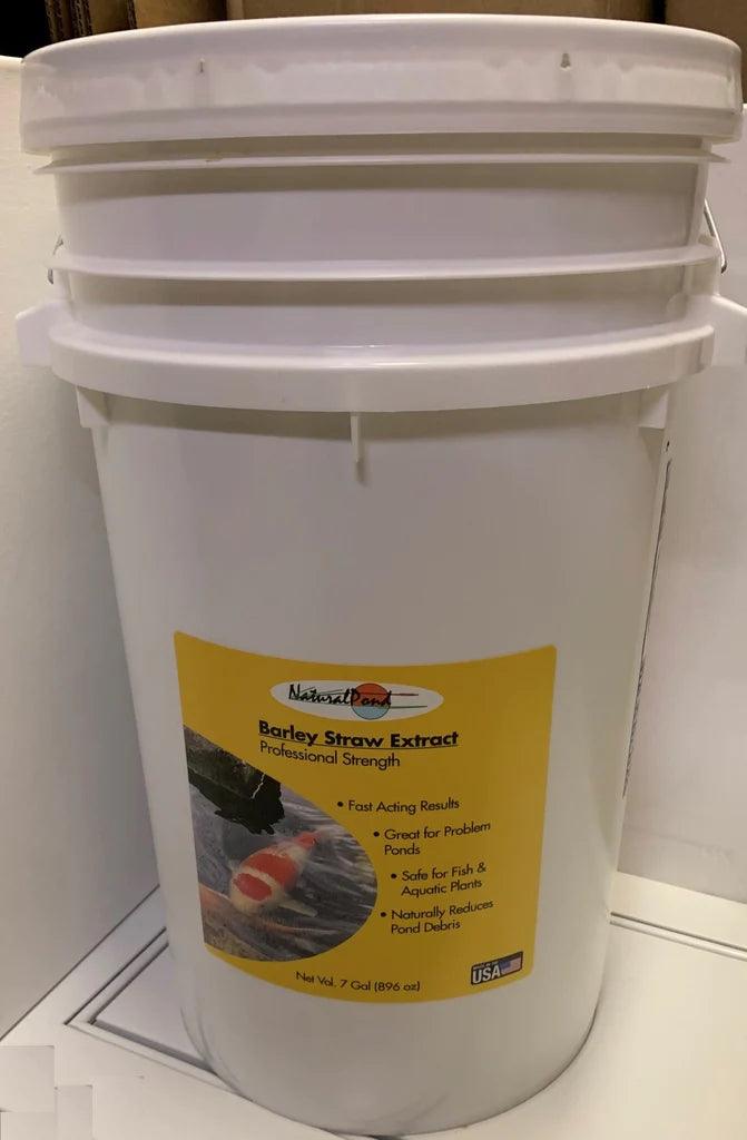 NaturalPond Liquid Barley Straw Extract - Play It Koi