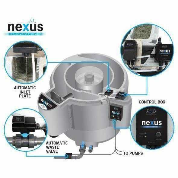 Nexus Automatic System - Play It Koi