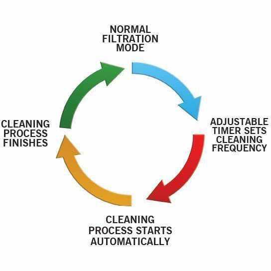 Nexus Automatic System - Play It Koi