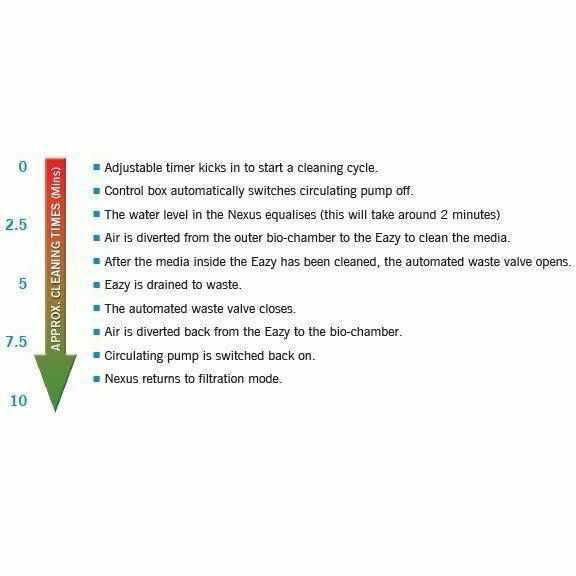 Nexus Automatic System - Play It Koi