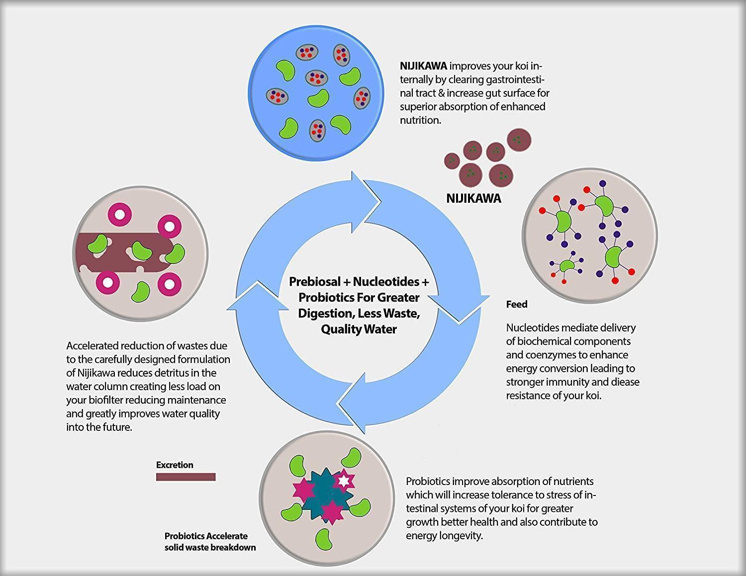Nijikawa Growth Formula Premium Koi Food - Play It Koi