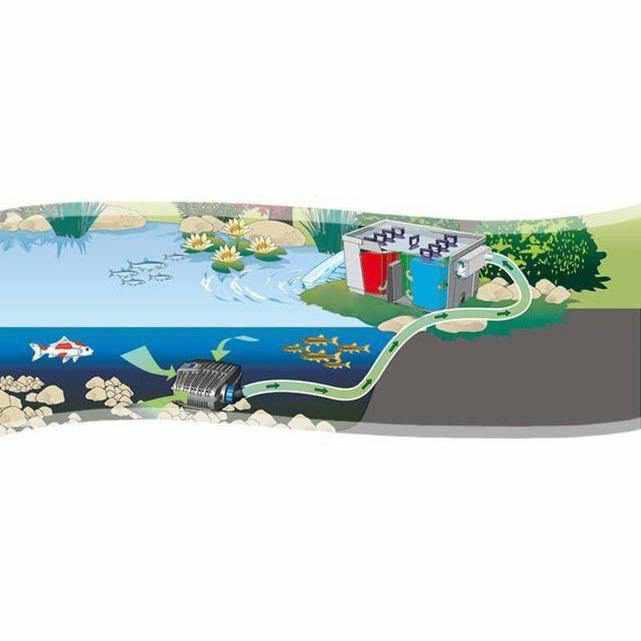 OASE AquaMax Eco Classic - Play It Koi