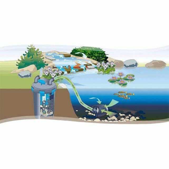 OASE BioPress Pressure Filters with UVC - Play It Koi