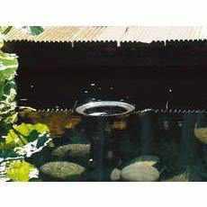 OASE Pond Skimmers - Play It Koi