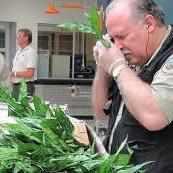 Phyto Inspection Hawaii - Play It Koi