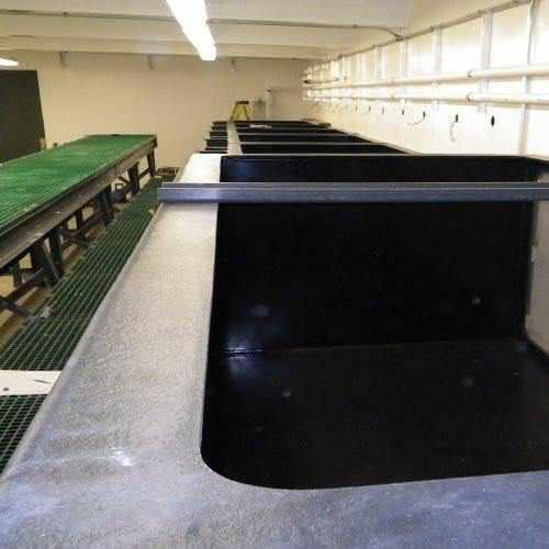 Pond Armor Non-Toxic Pond Shield Epoxy Paint - 1.5 Gallons Black - Play It Koi