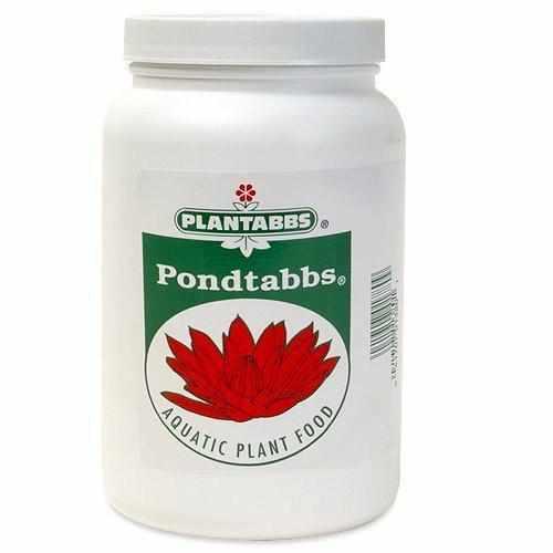 PondTabbs Plant Fertilizer - Play It Koi
