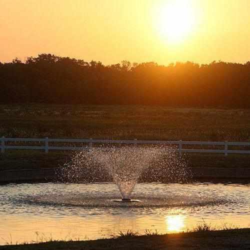 Scott Aerator DA-20 Display Aerator, 1/3 HP - Play It Koi