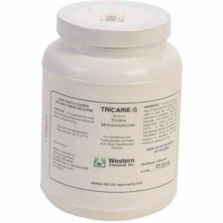 Syncaine (Tricaine-S) (MS 222) Fish Anesthetic - Play It Koi
