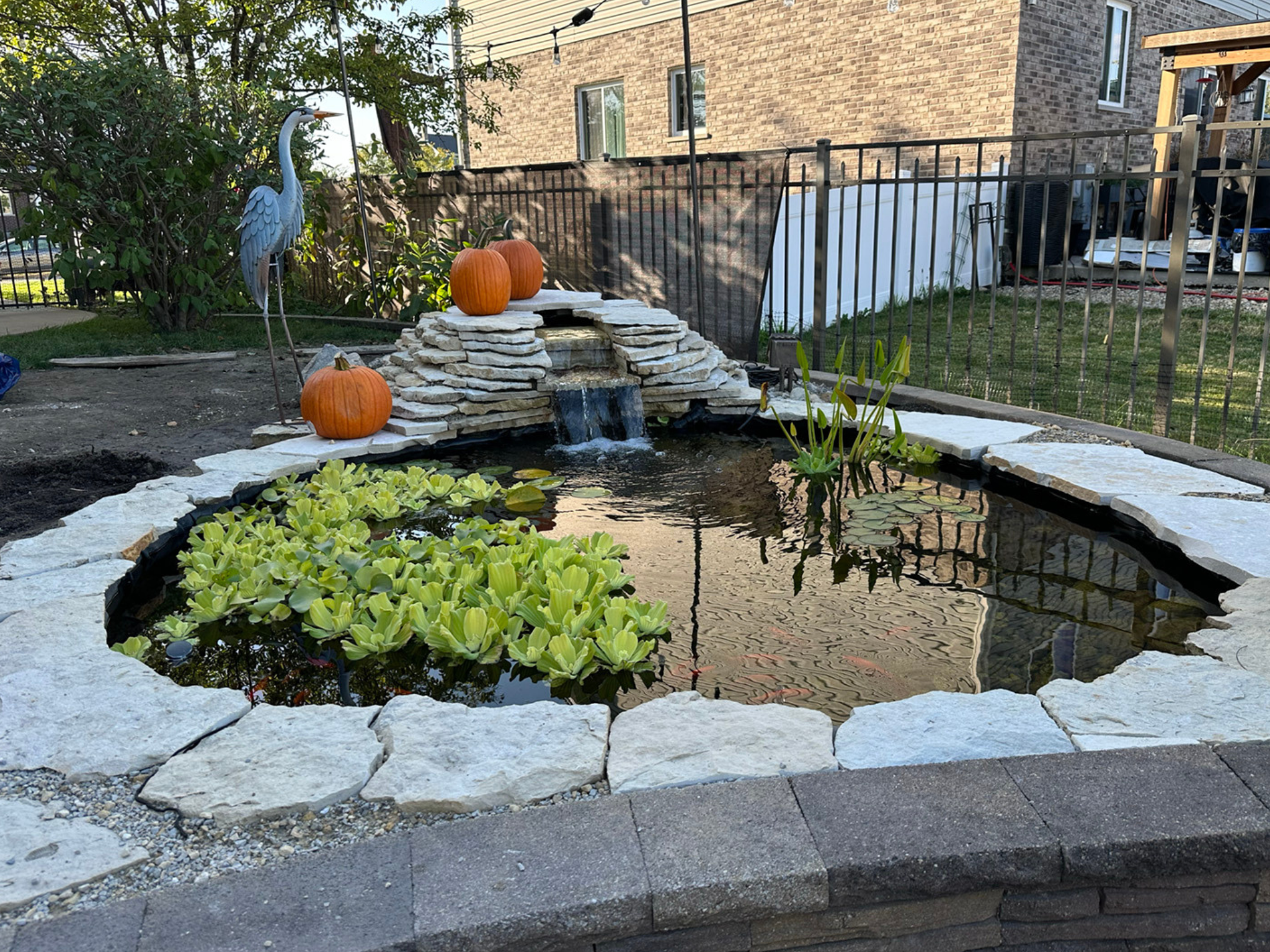 Customer Corner: The Backyard Build That Sparked a Community