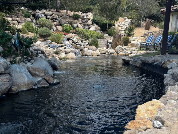 Tim Dell's Koi Pond: Three Waterfalls, 26,000 Gallons, RDF + Good Vibes