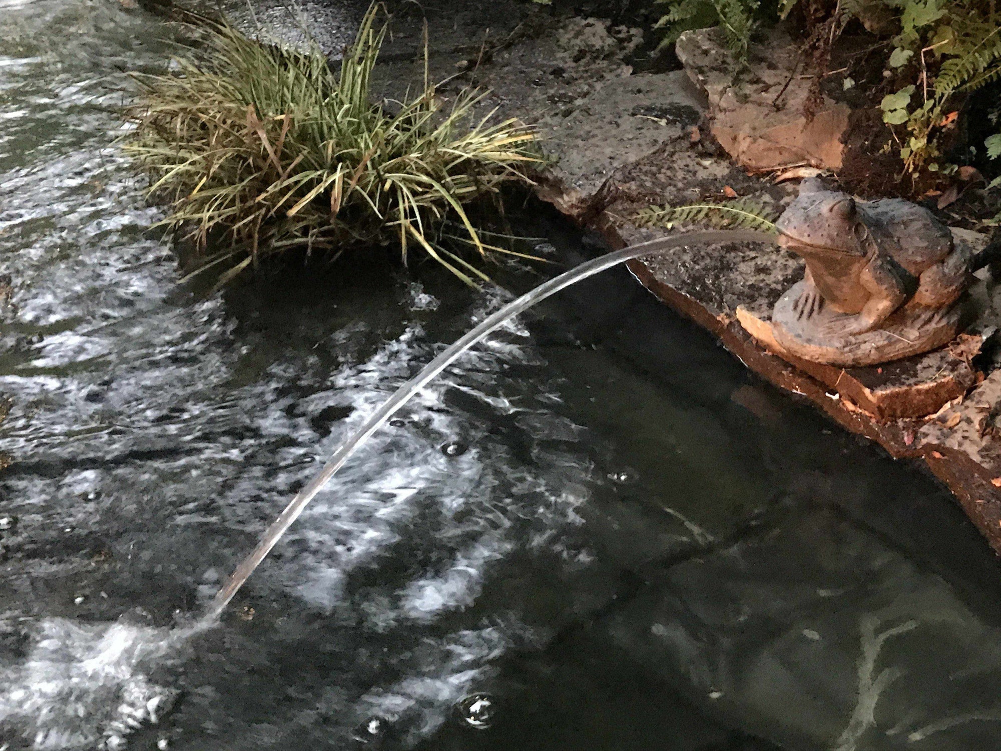 Article 24: Pond Gear – Aesthetic Elements, by Jeff Richardson - Play It Koi