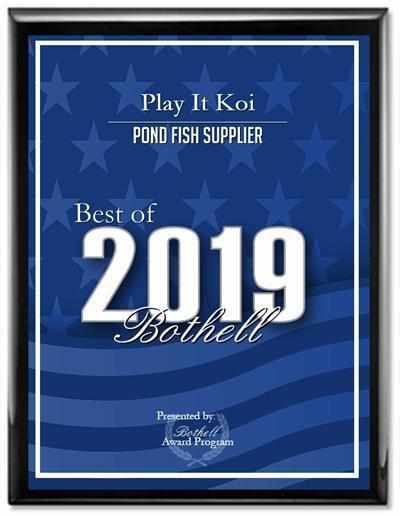 Play It Koi Receives 2019 Best of Bothell Award! - Play It Koi