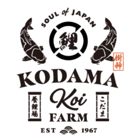Kodama Koi Farm Collection