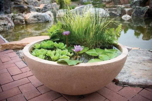 Decorative Pond Accents & Spitters | Play It Koi