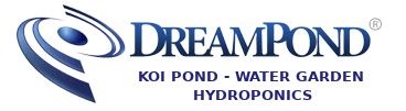 DreamPond - Play It Koi
