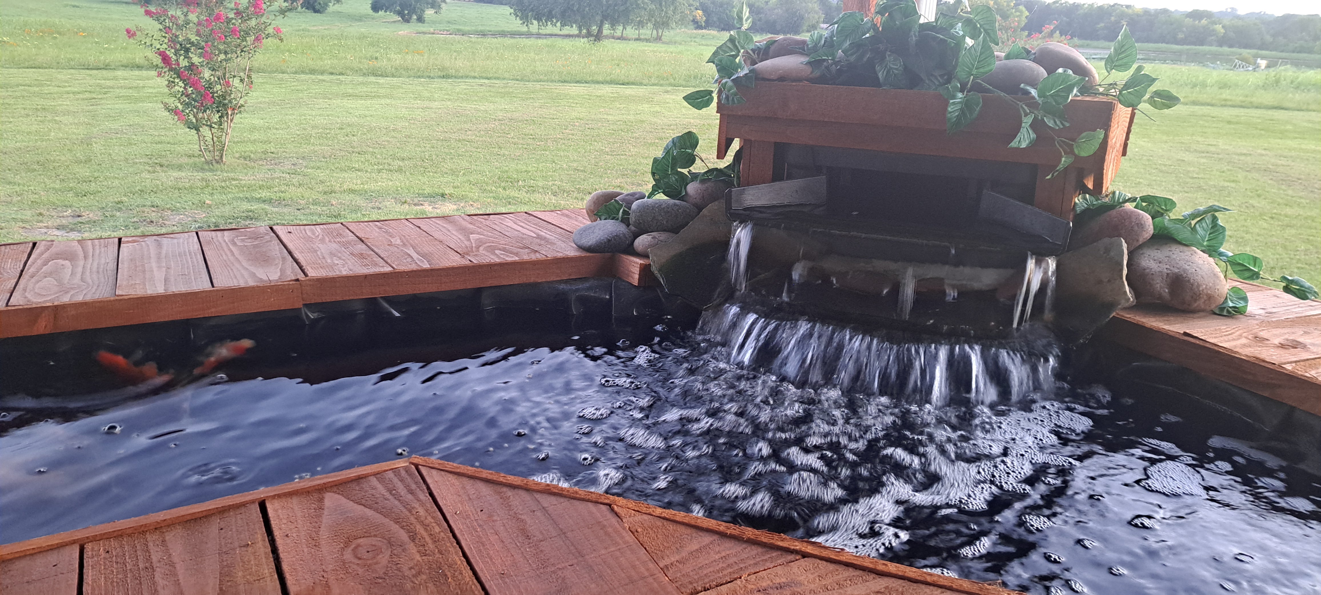 Customer photo: koi swimming past a Pond Portals viewing window