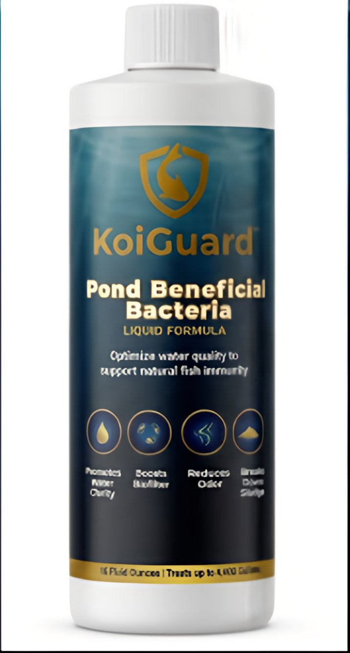 KoiGuard Beneficial Bacteria - Liquid Formula