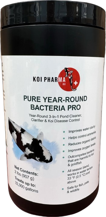 Koi PHarma Pure Year-Round Bacteria Pro