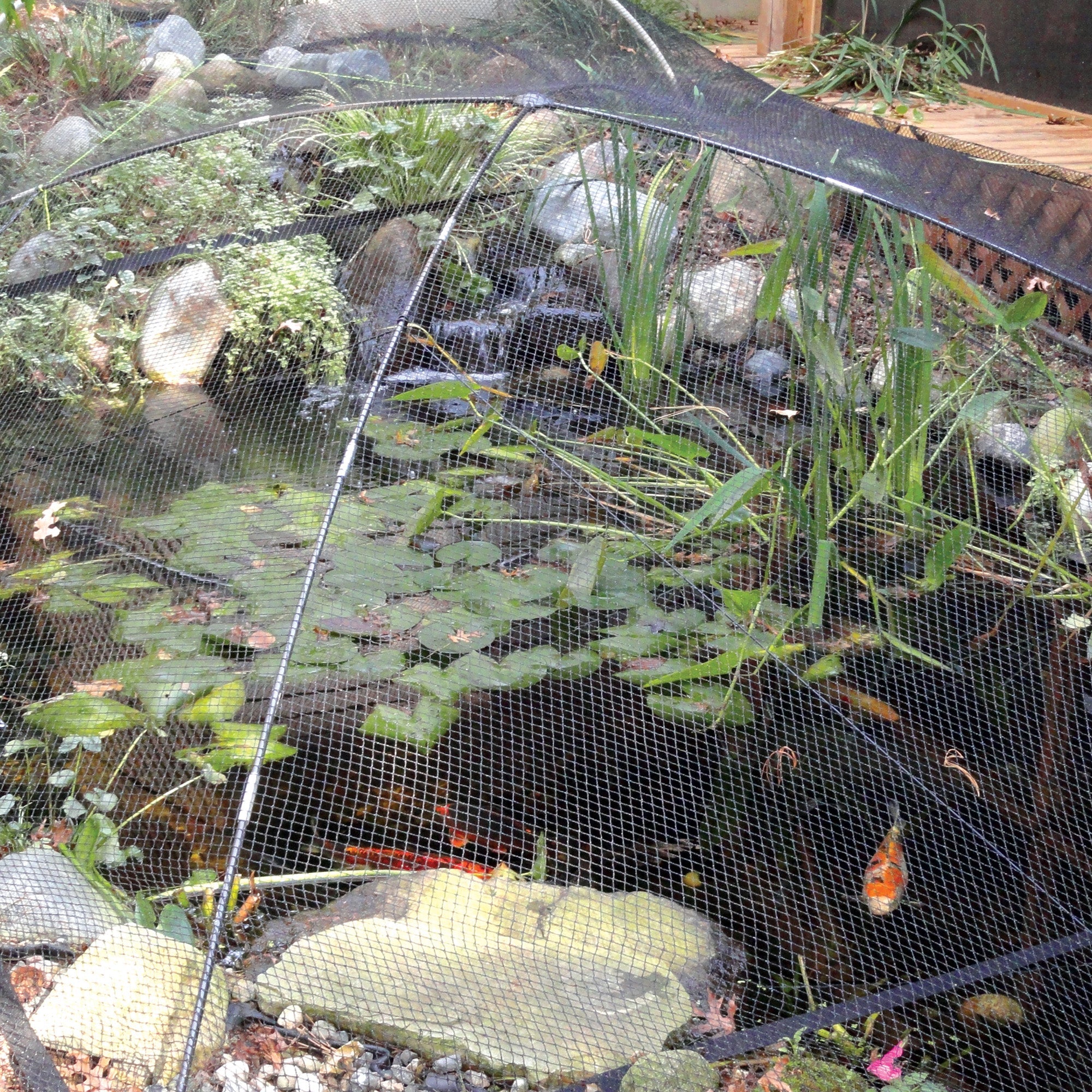 Pond & Garden Protector - Small — view 2