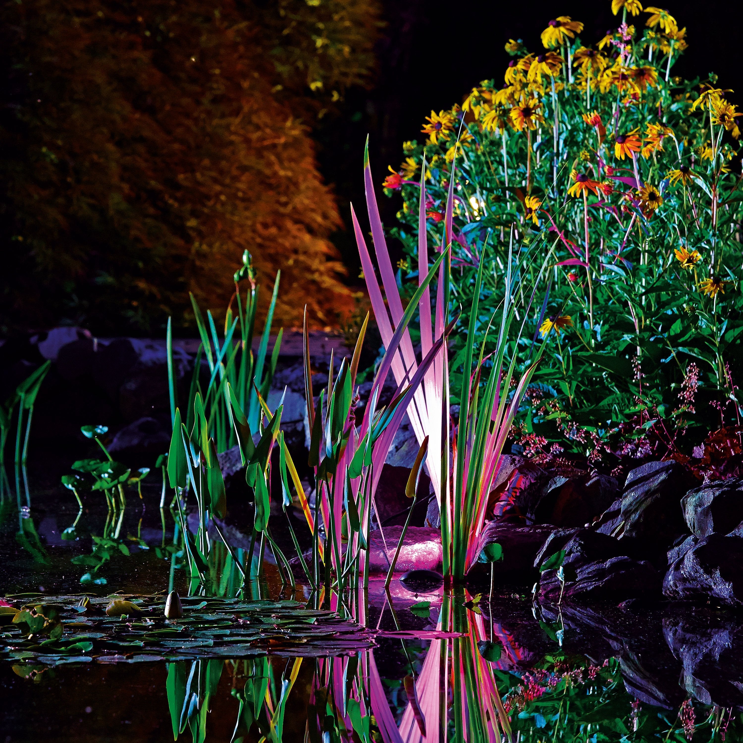 OASE ProfiLux Garden LED RGB Set 3