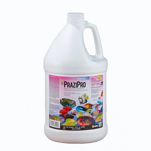Hikari Prazipro 16oz - 1 Gallon Hikari PraziPro