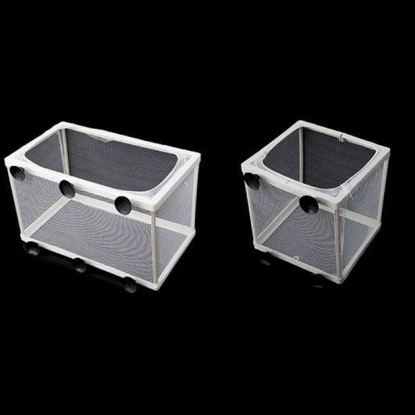best smell cat litter box Self Cleaning Probiotic Cat Litter