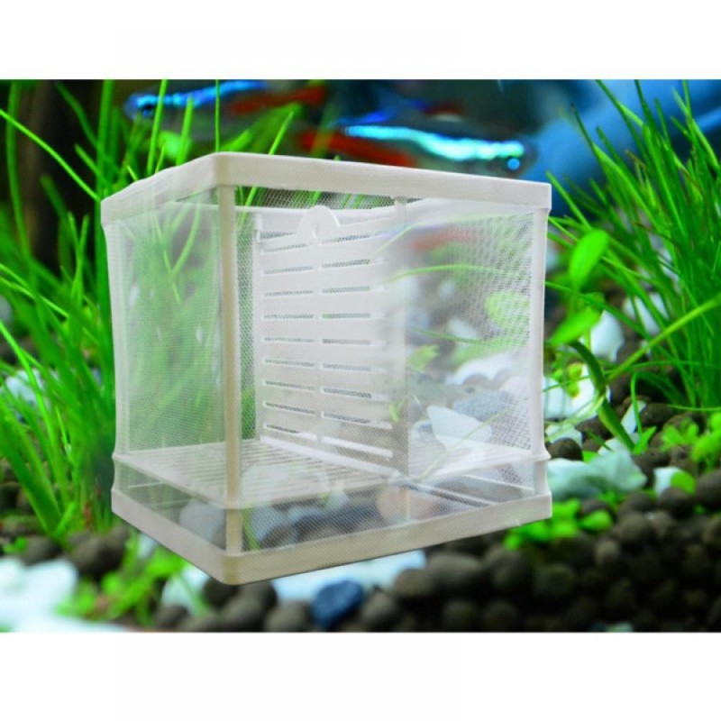 Aquarium Isolation Box Aquarium Isolation Box