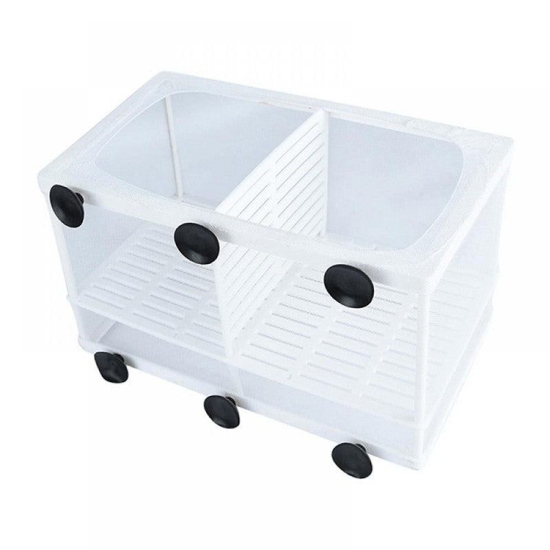 Large Aquarium Isolation Box