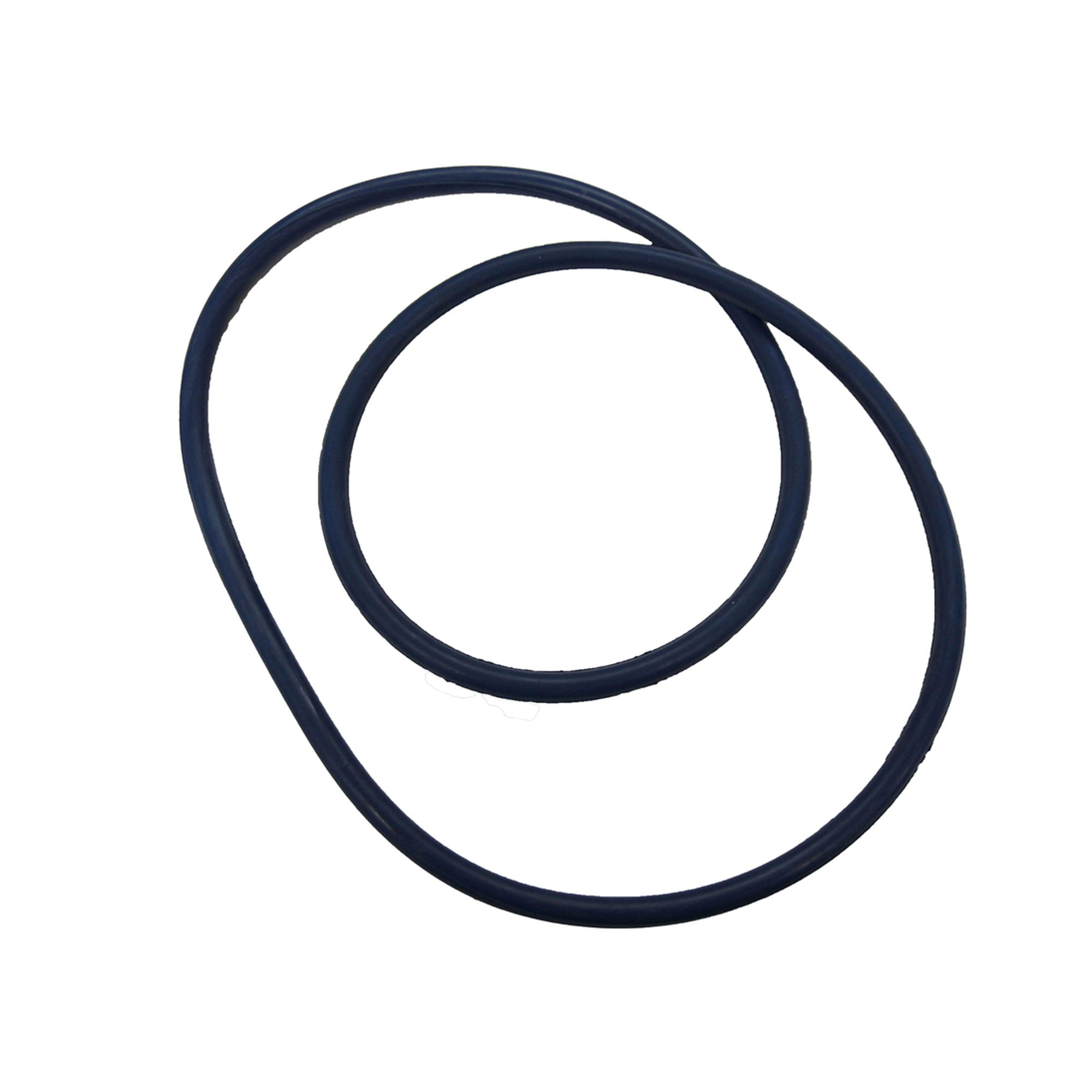 OASE FiltoClear Lid O-Ring