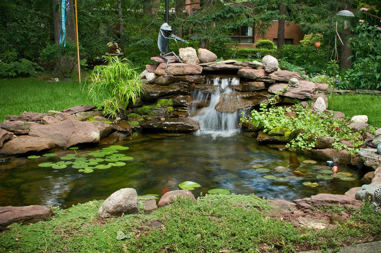 Blue Thumb DIY Pond Kits