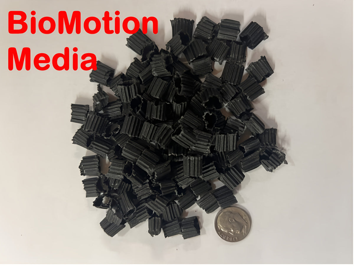 BioMotion Bộ lọc tầng sôi BioVerter