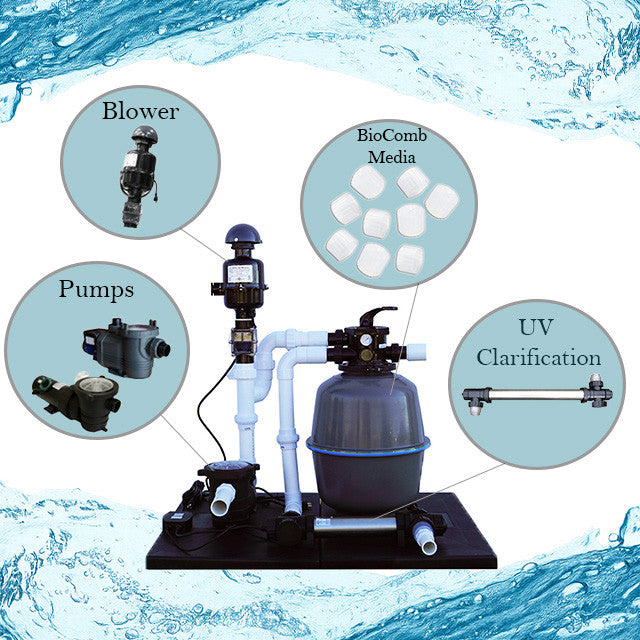 Anjon Living Ponds Pro Filtration Systems