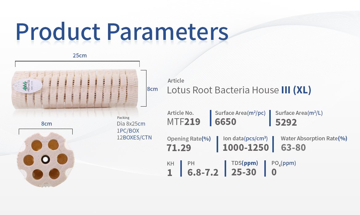 Mountain Tree Lotus Root Bacteria House Media III