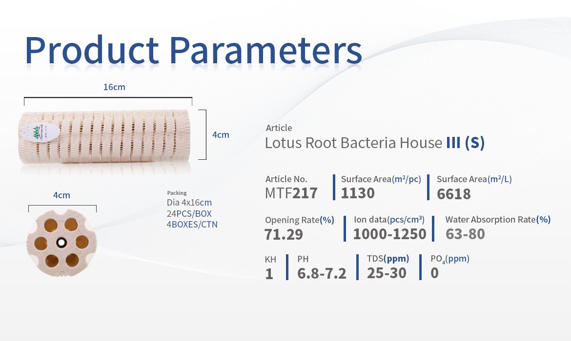 Mountain Tree Lotus Root Bacteria House Media III