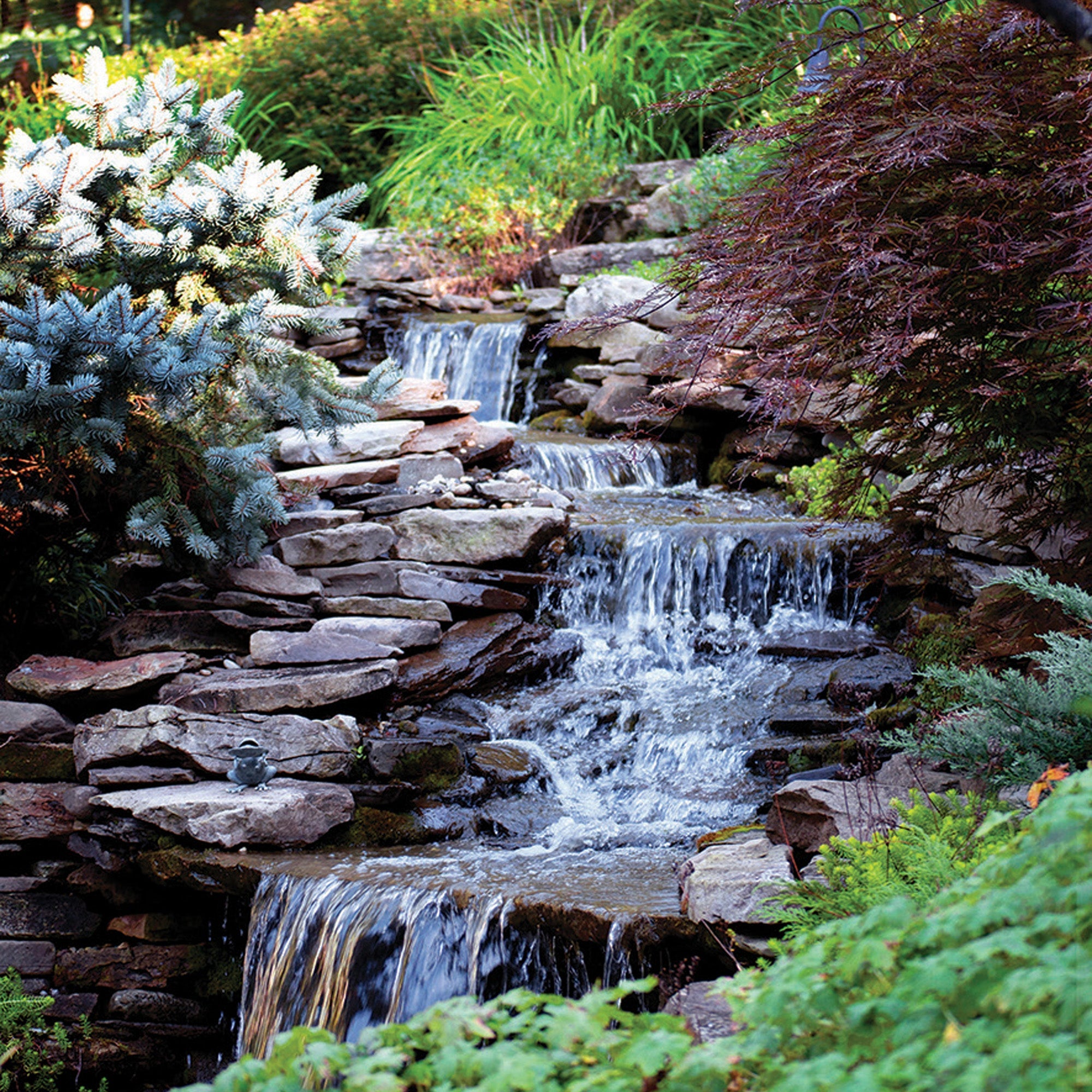 Atlantic Pond Free Kits Medium Large — installed lifestyle view