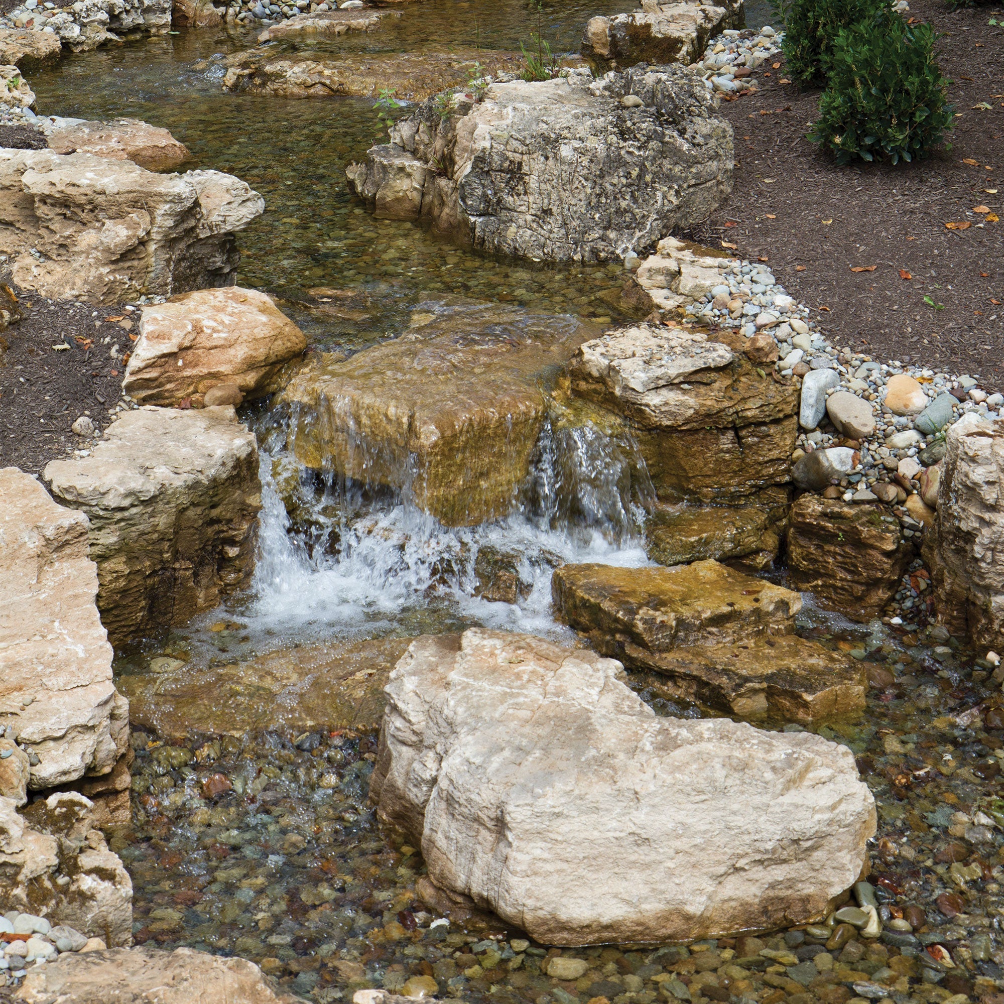 Atlantic Pond Free Kits Medium Large — installed lifestyle view