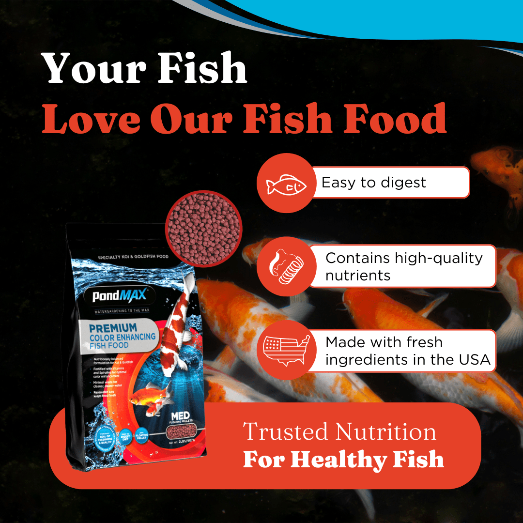 PondMAX Color Enhancing Fish Food bag with koi, listing easy to digest, high-quality nutrients and made with fresh ingredients in the USA