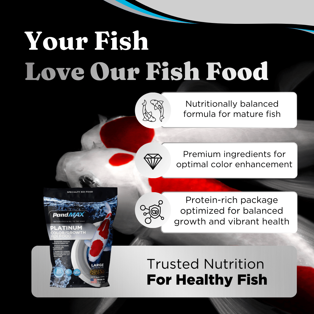 PondMAX Platinum Color/Growth Koi Food bag with koi, listing a balanced formula for mature fish, premium ingredients for color and a protein-rich diet